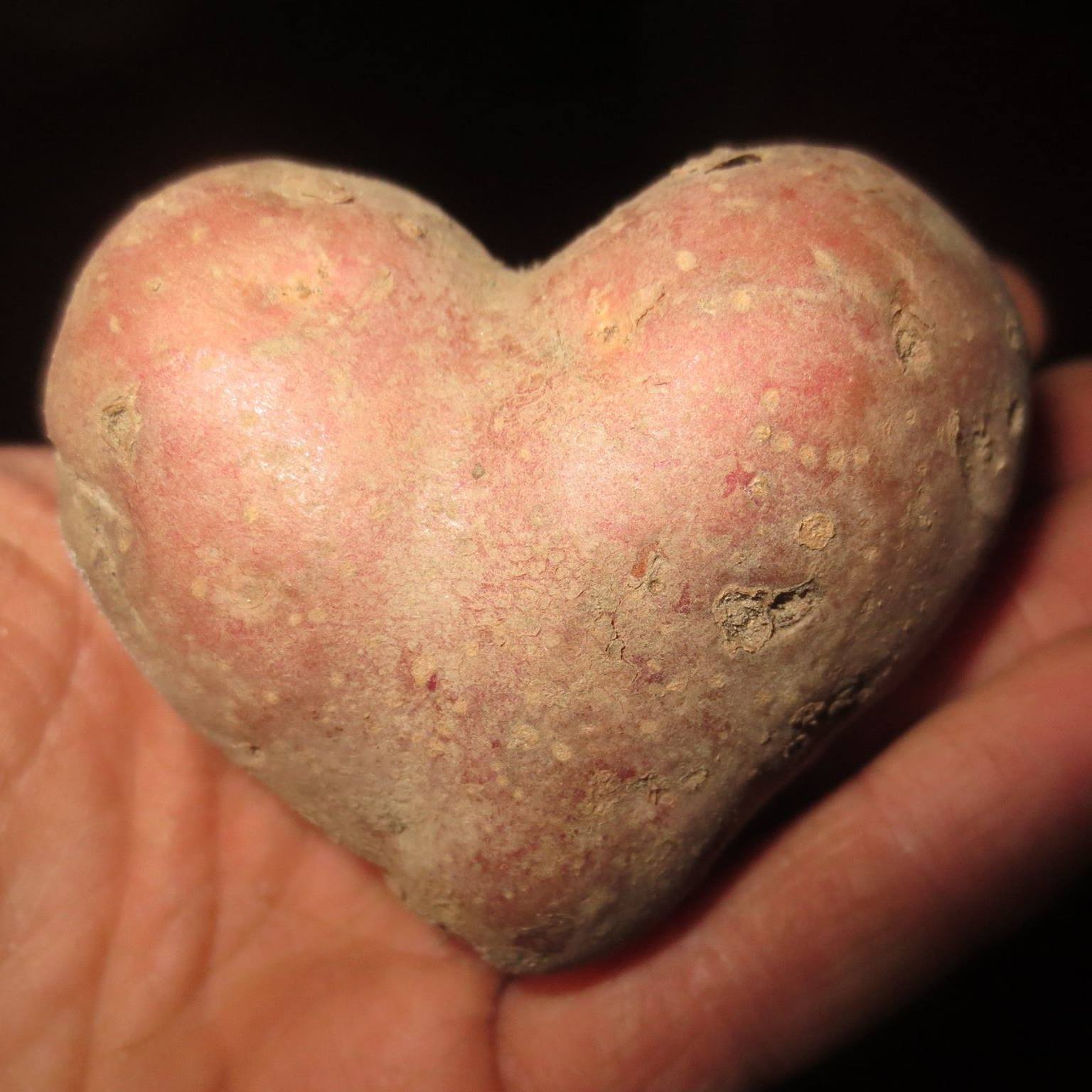 12314340_10153743940910030_5774986780096131505_o